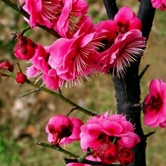 与缘相约在旅途