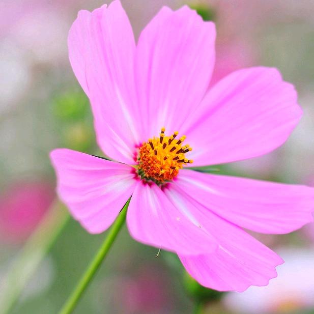 往后余生🌷m9(´∀｀)就是你！👄