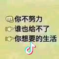未来DHZ