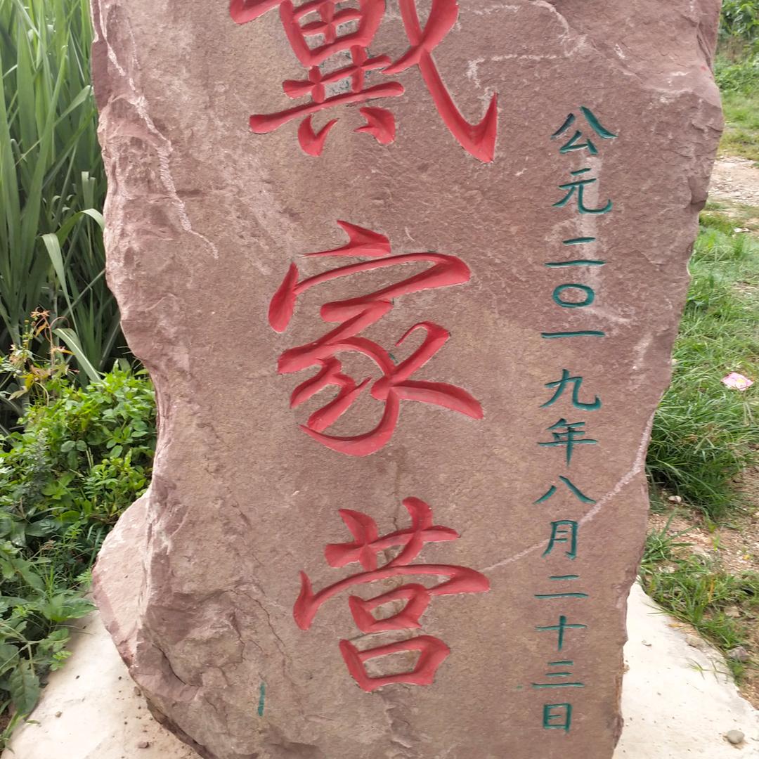 努力，奋斗💪💪