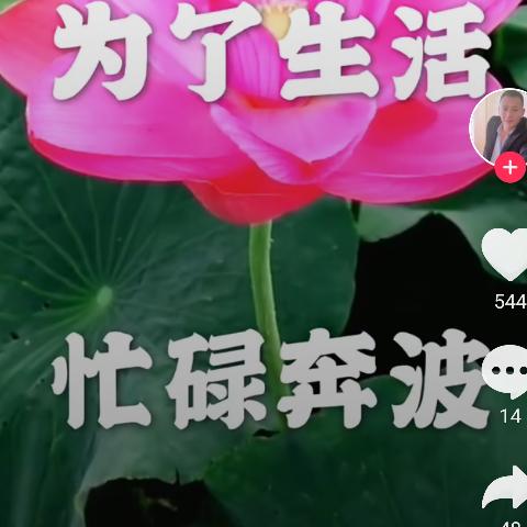 自由飞翔
