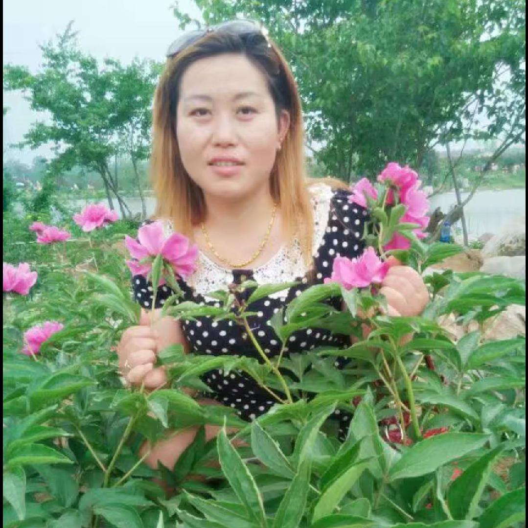 艳姐的朋友圈