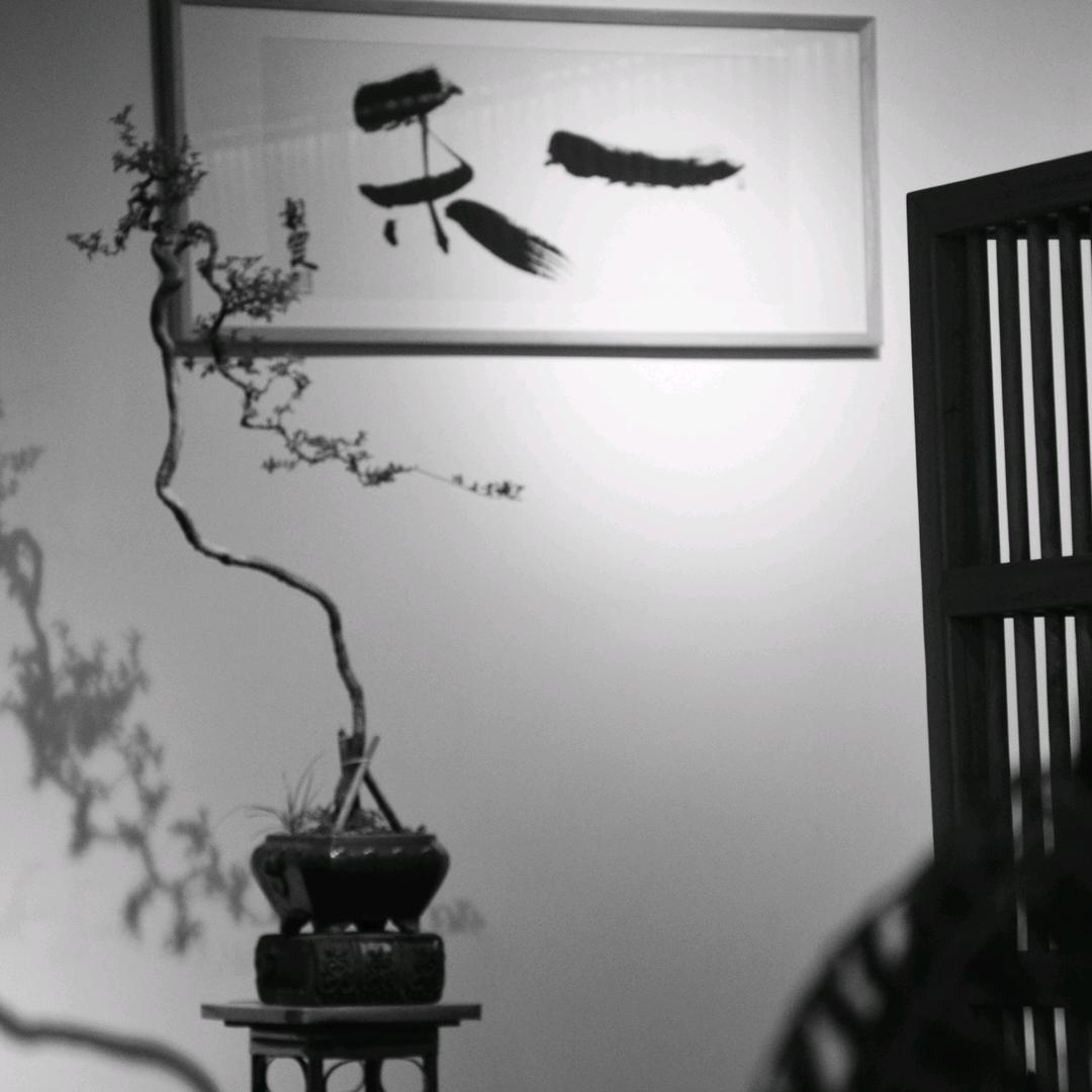 一禾