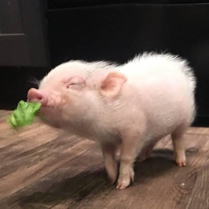 后来你好吗.