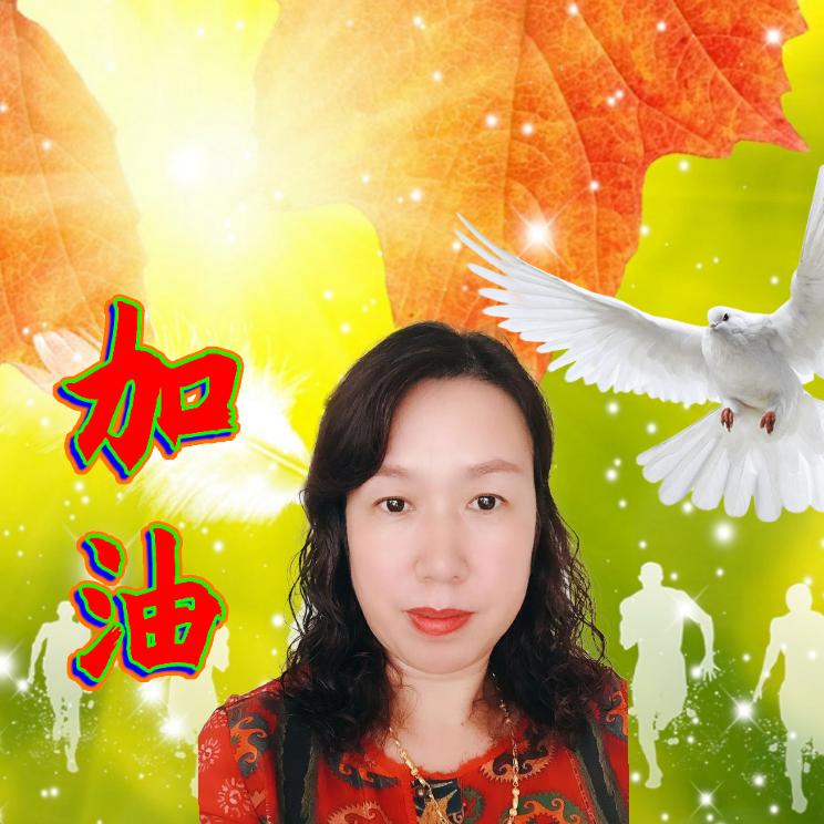 幸运草