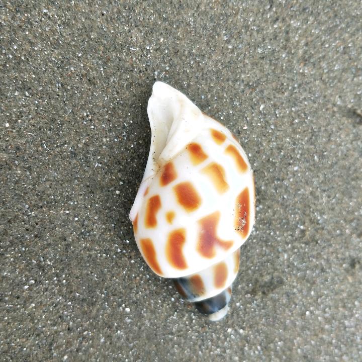 品峰能源