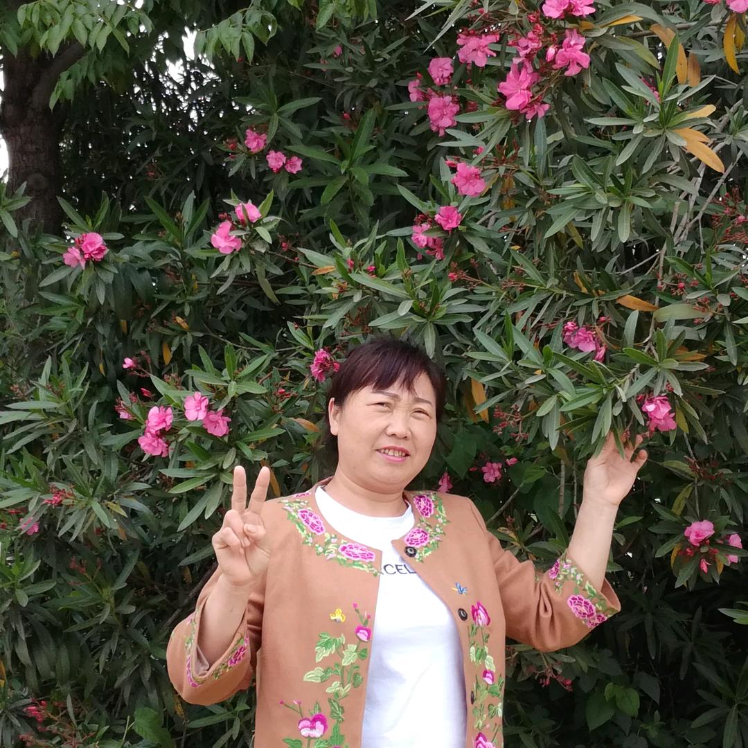 河南大美女