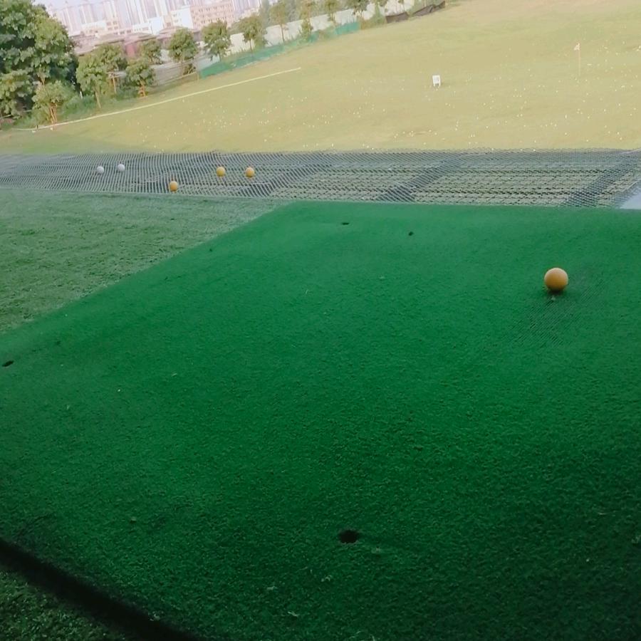 买嘎