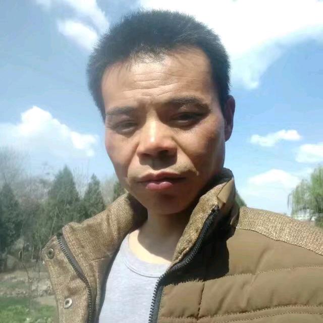 用户蝶恋花