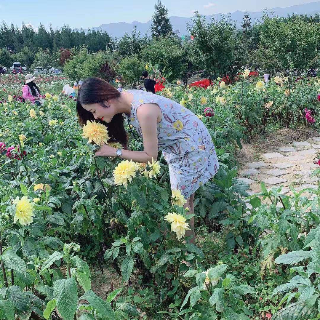 我……依然洒脱