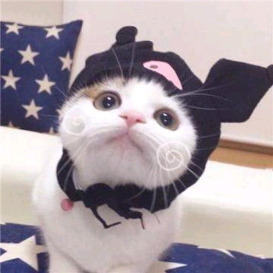 清欢.