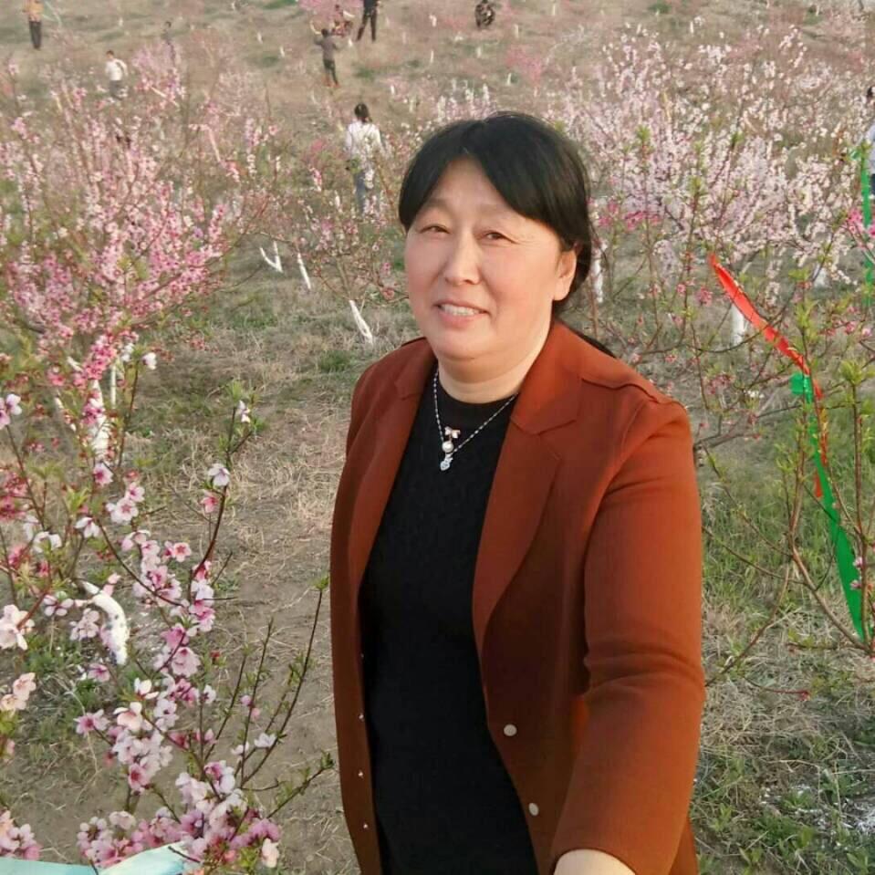 阳光灿烂33733
