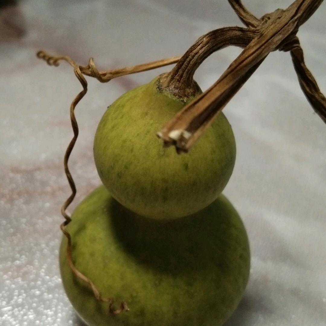 四哥