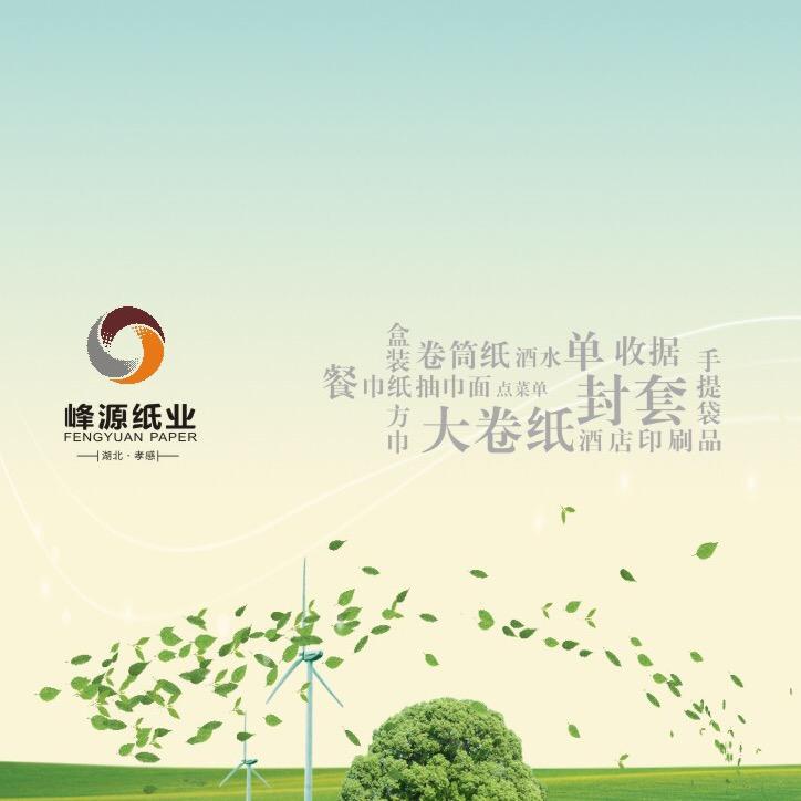 孝感峰源纸业