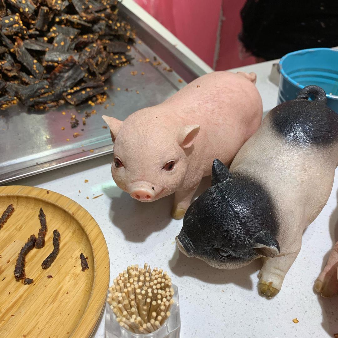 白木马
