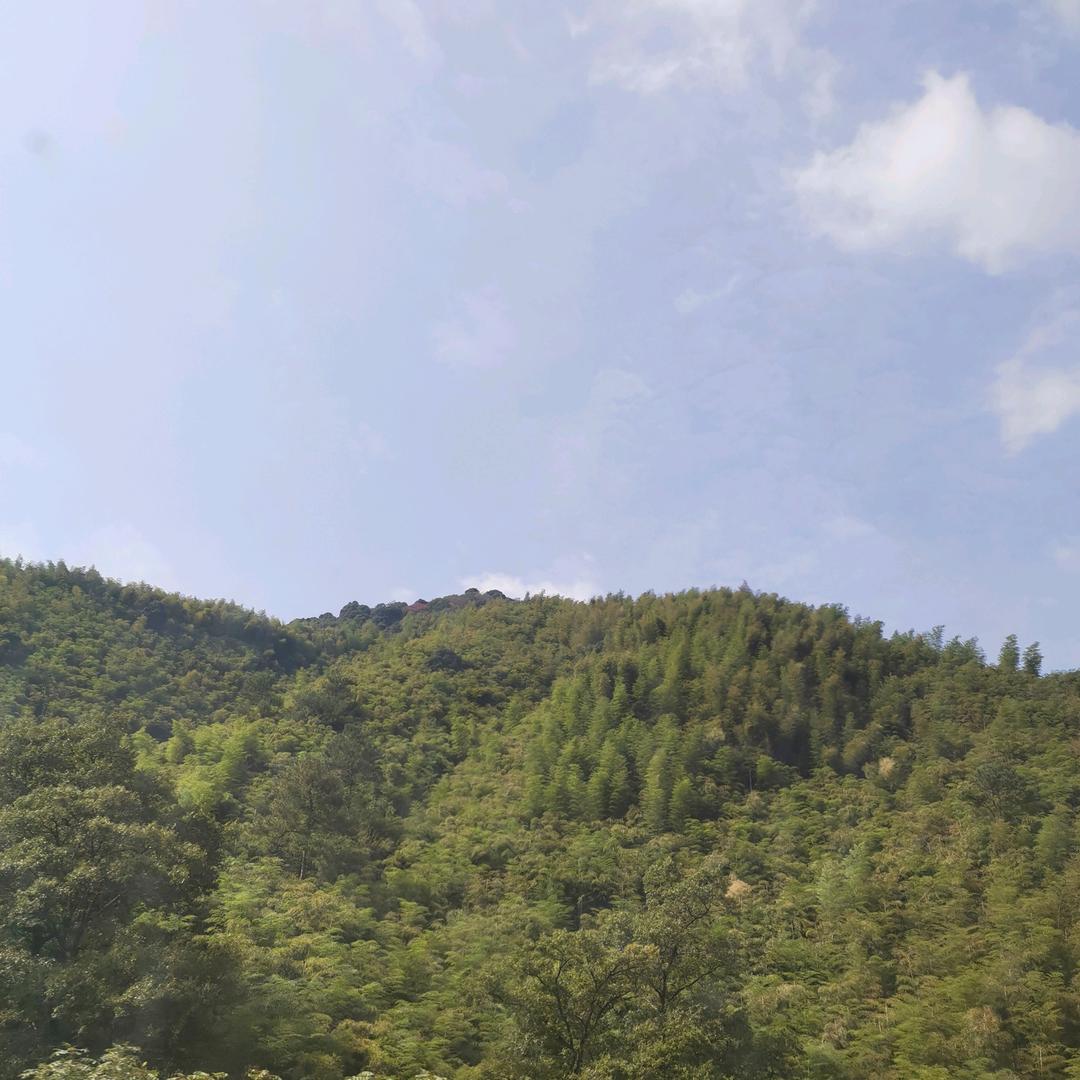 稳重