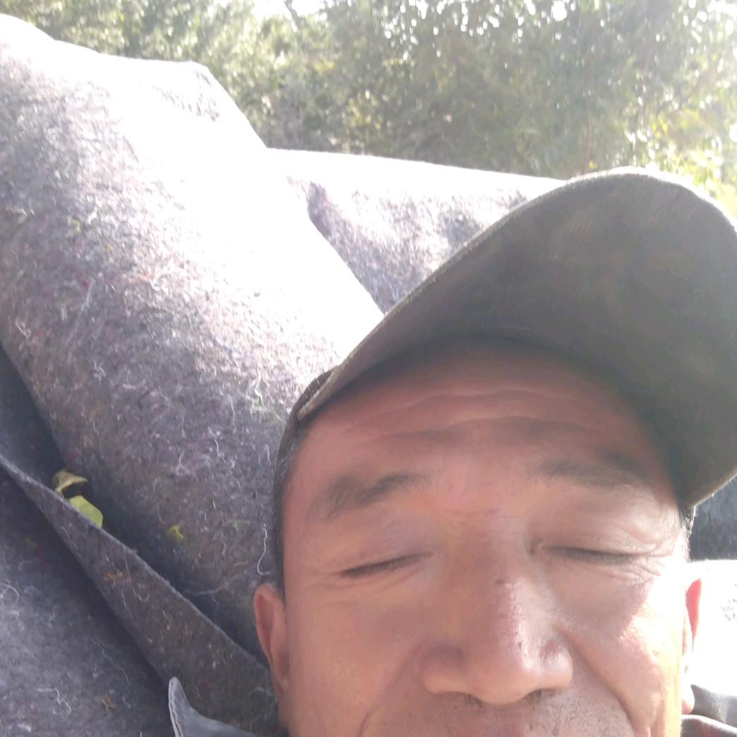 马守兵
