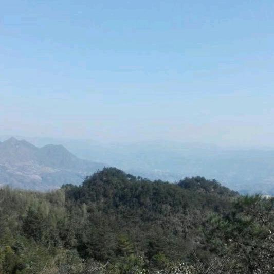 戴村专业户郑小娟