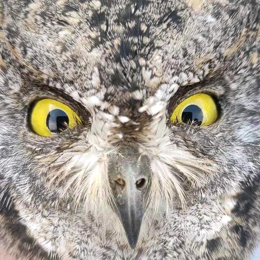 life is like a movie