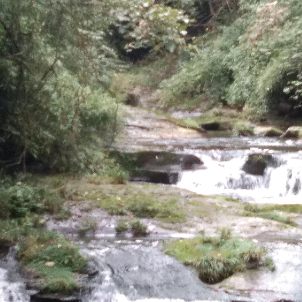 幸福的一生(拒绝私聊)