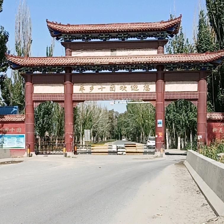 阿教练C1-C2-D驾照