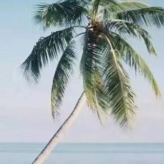 地瓜叶子