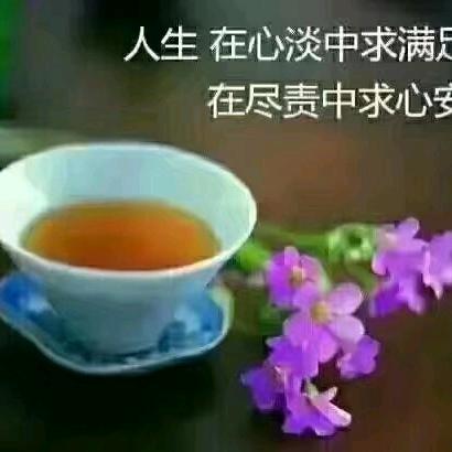 望月追思💓