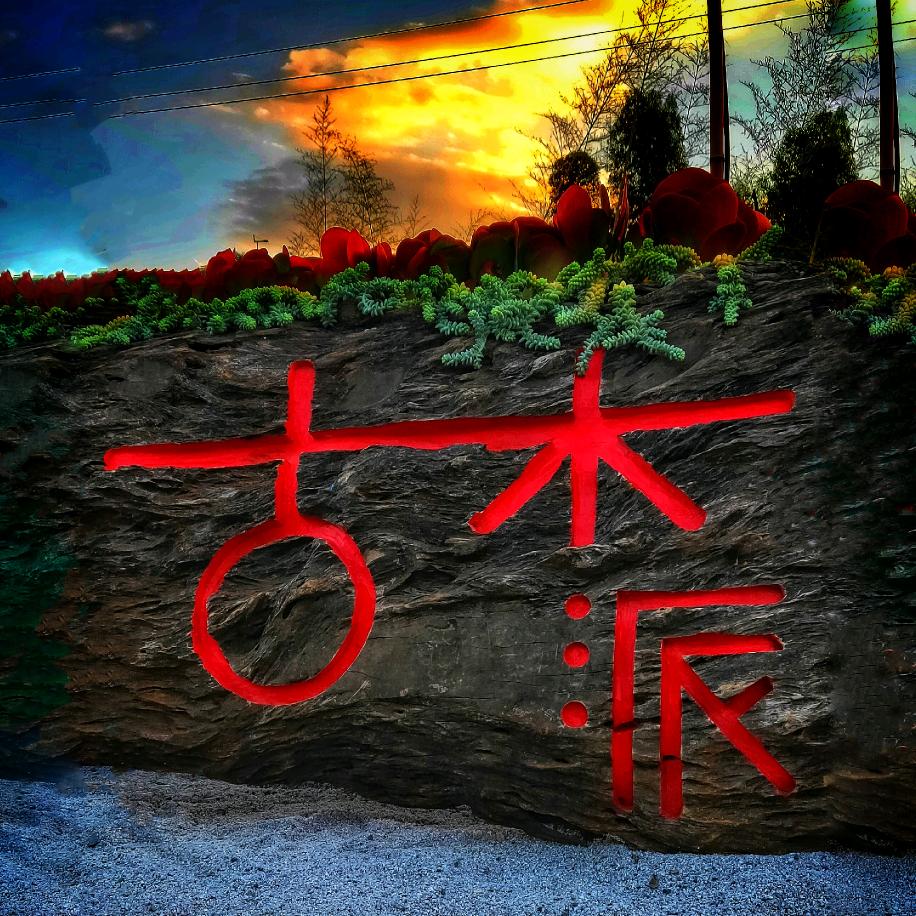 古木派多肉花园