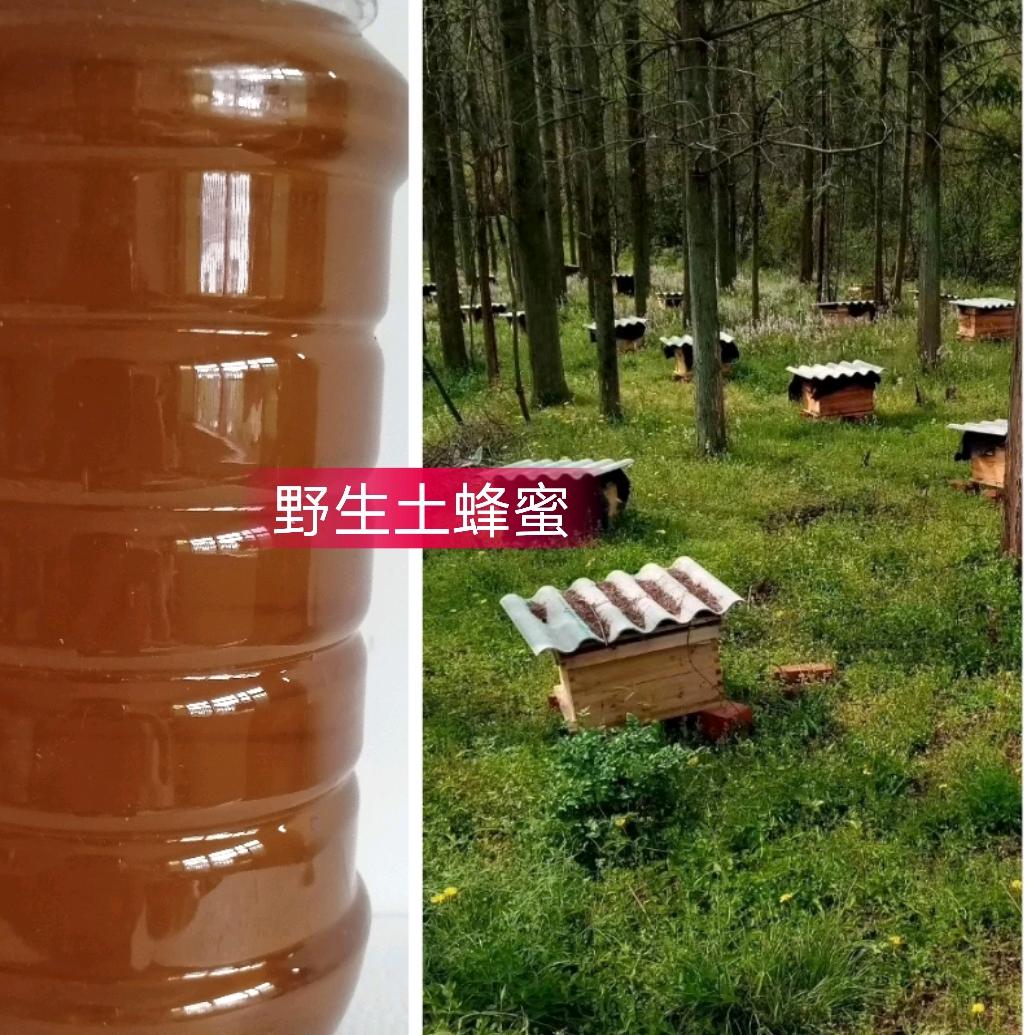 罩狄商贸店