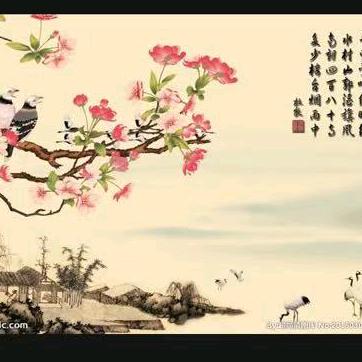 大灰狼