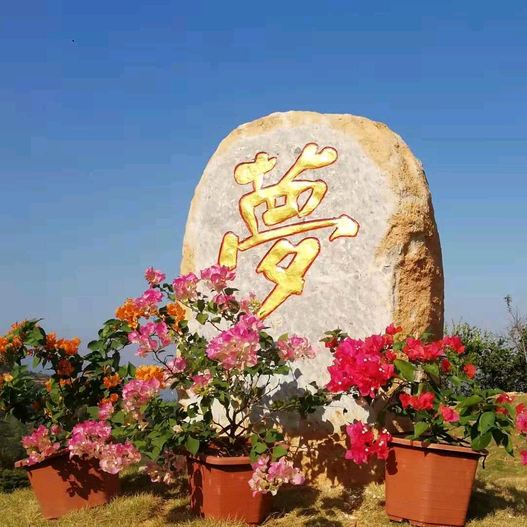 瑞富蟹园《金小龙》