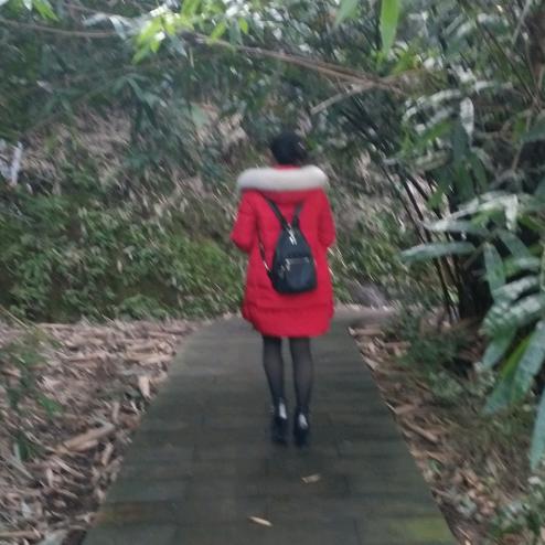 小凤