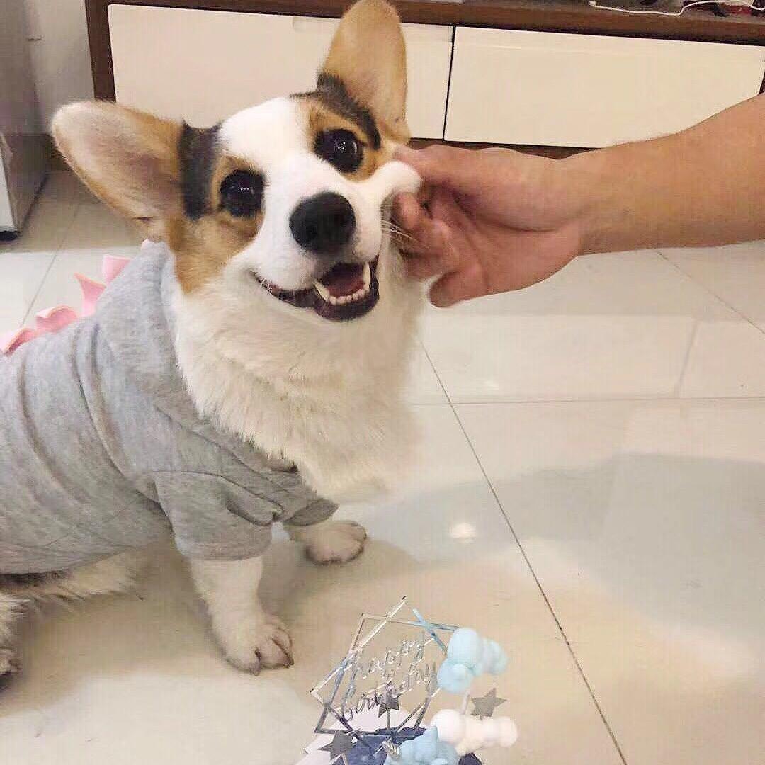 徕卡卡卡卡卡