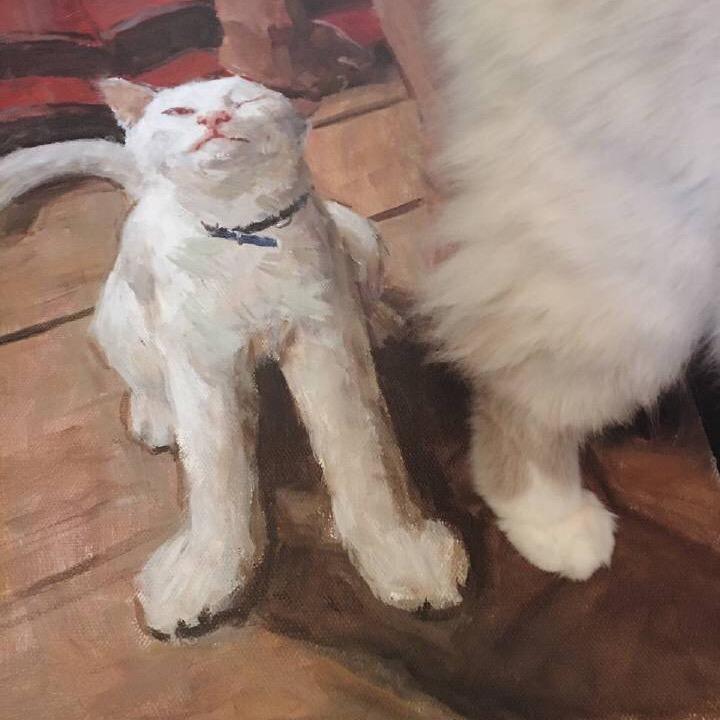 她他它她她