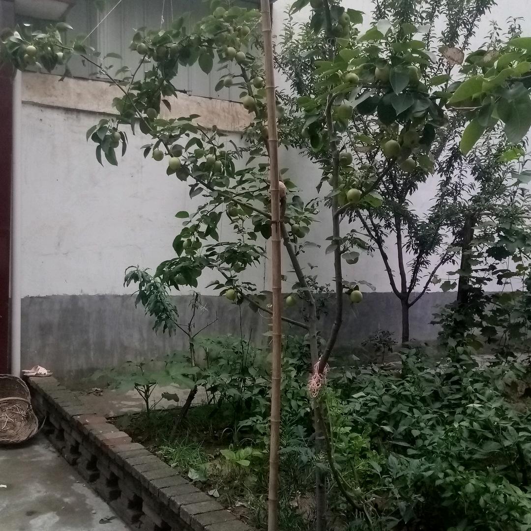 都是一样的人