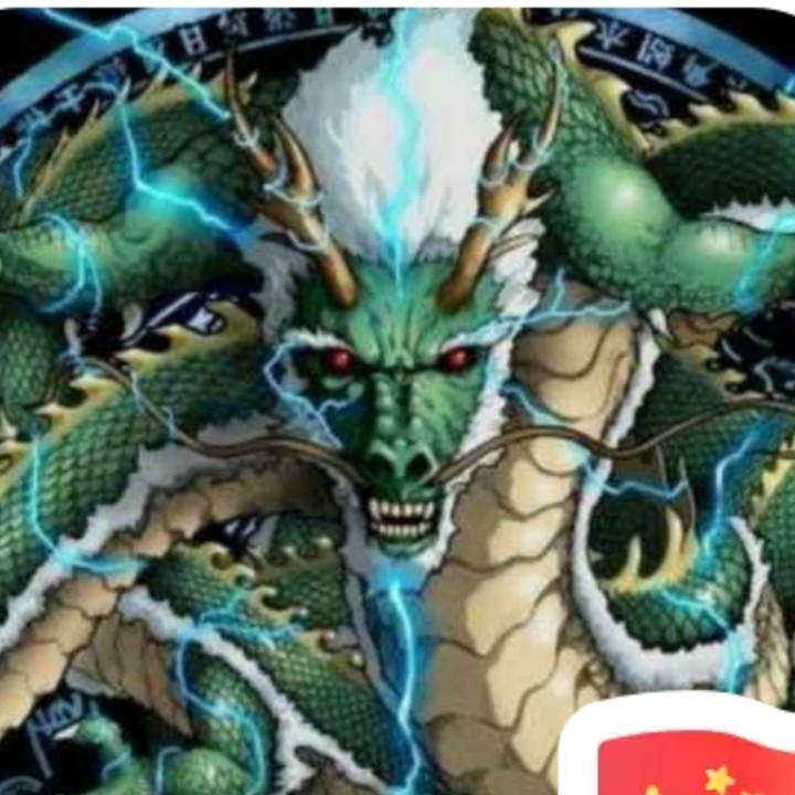 子龙
