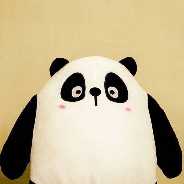 胶水哥