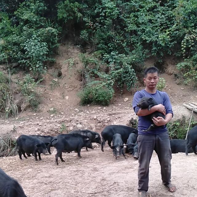清源山货！