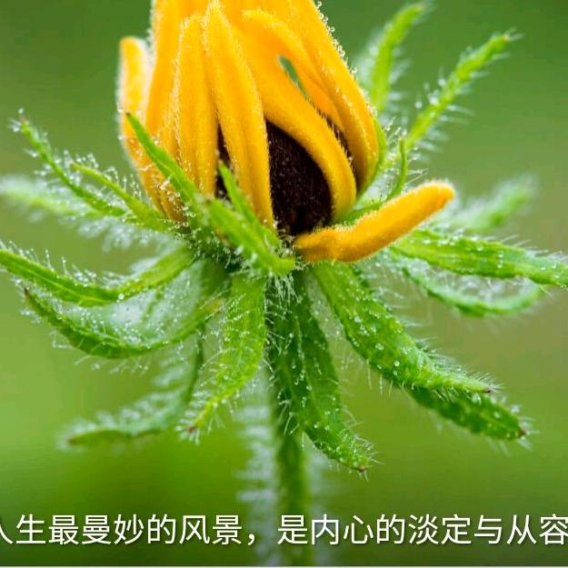 雨伞