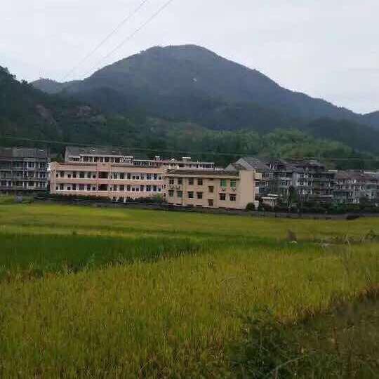 毎天都为你而奋斗