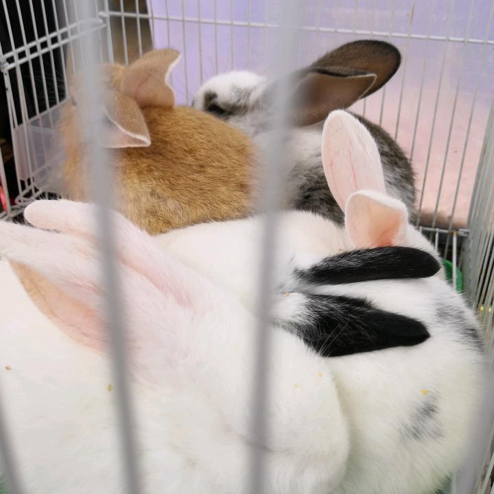 自驾，游全国，走到那，玩到那。