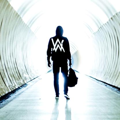 蔬菜批发  全国发货