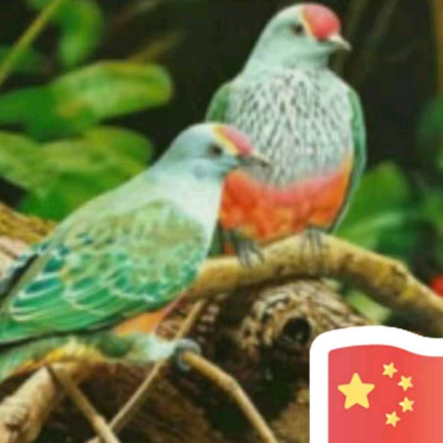 知足长乐（周