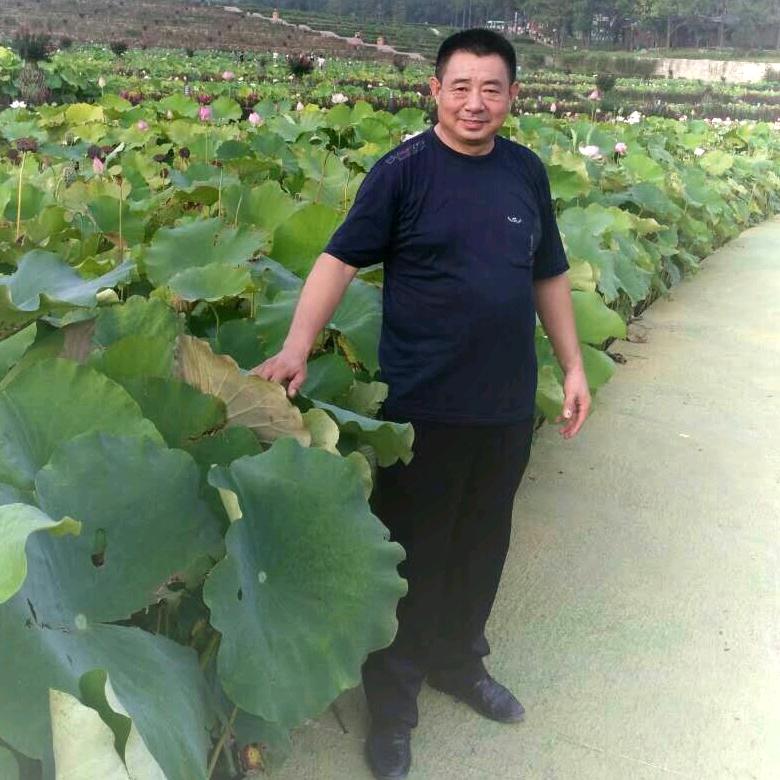 往事归零，爱恨随意