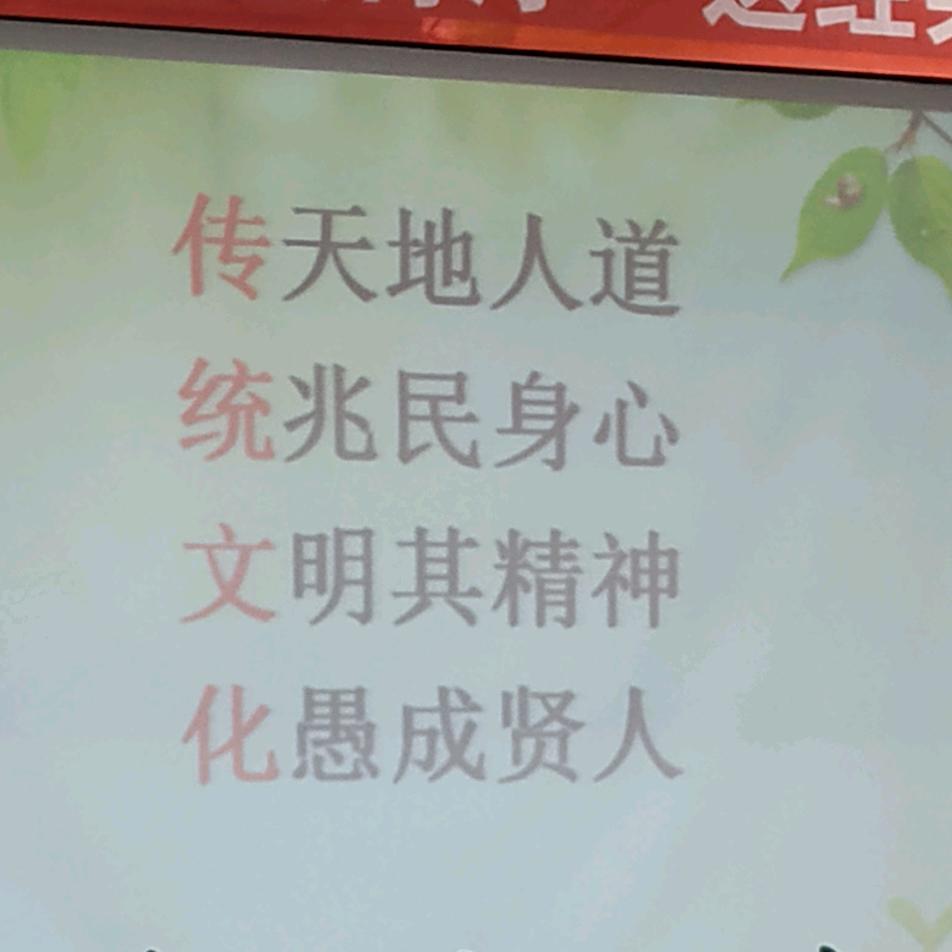 遮阳木子