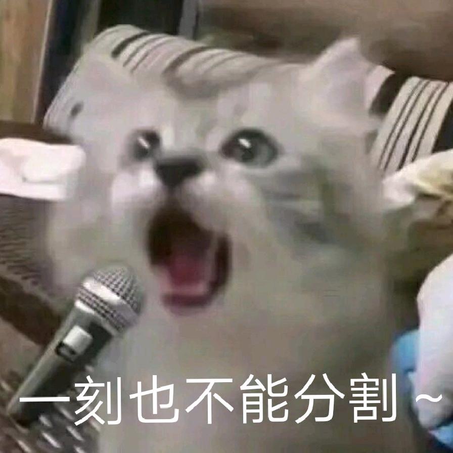 🌈只是来卖卖萌的桐桐syt