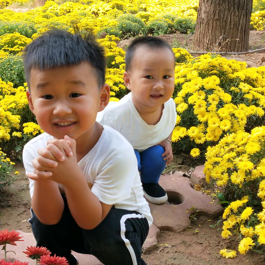 达尔明眼镜·