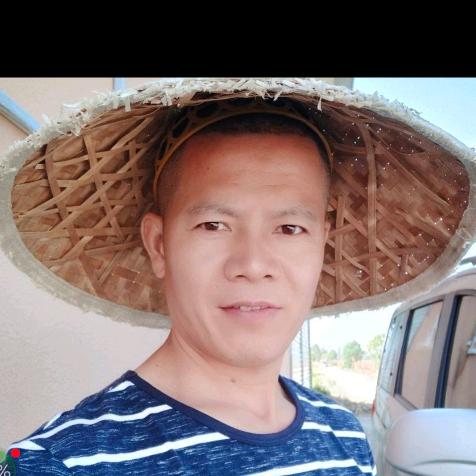龙在天涯
