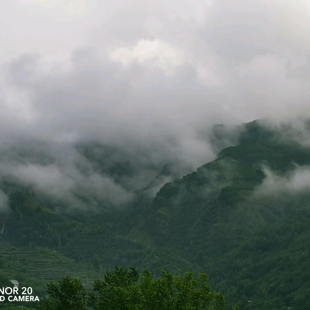 X•͈ᴗ•͈ₑᰔᩚ