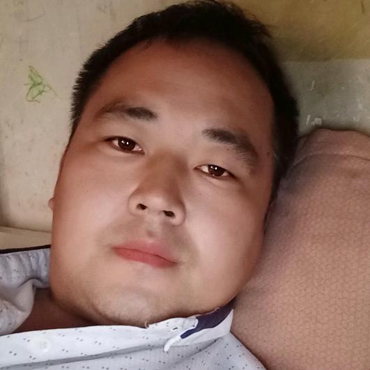 春天的小鸟